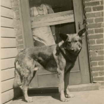 chien devant porte avec femme. maison en brique
