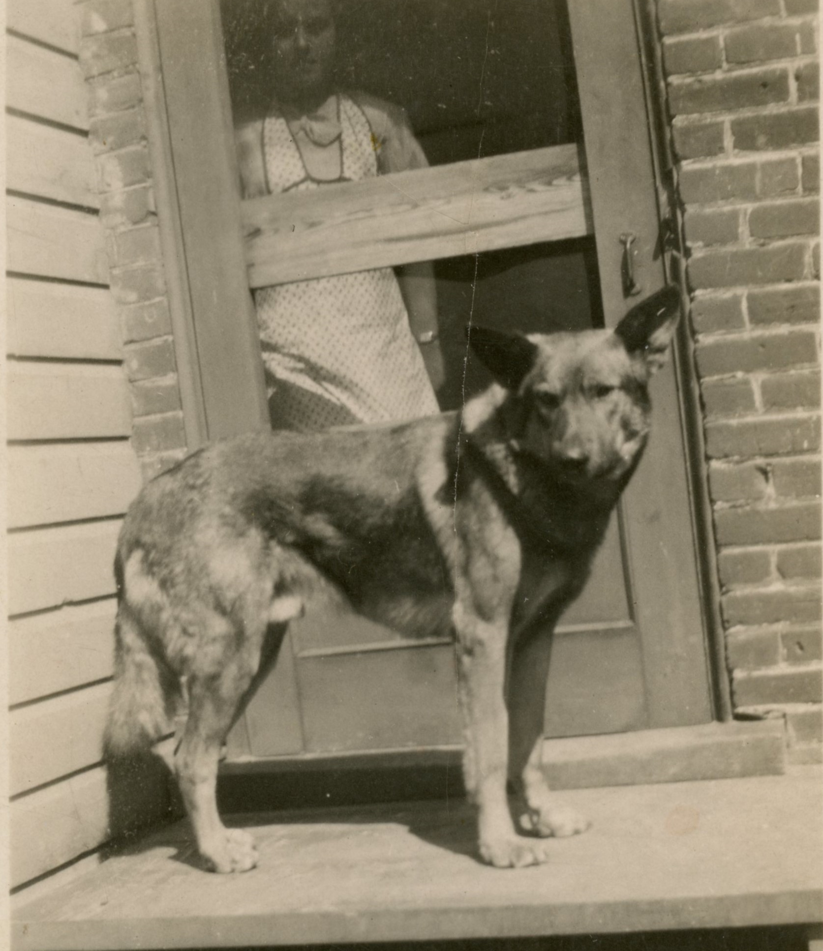 chien devant porte avec femme. maison en brique